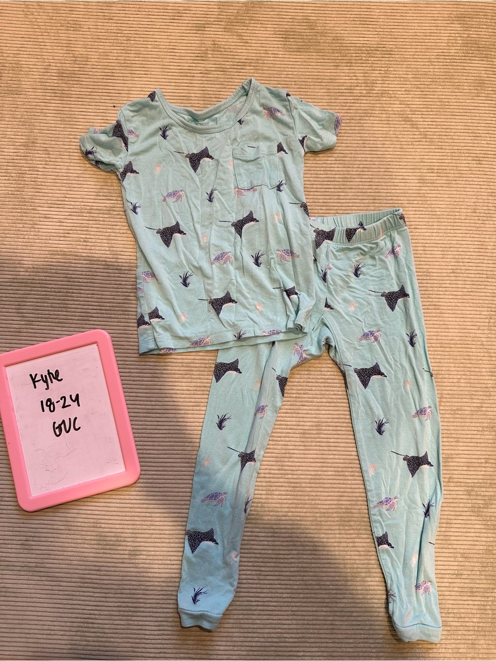 Kyte BABY Eagle Ray Short Sleeve / Pants Pajama Set